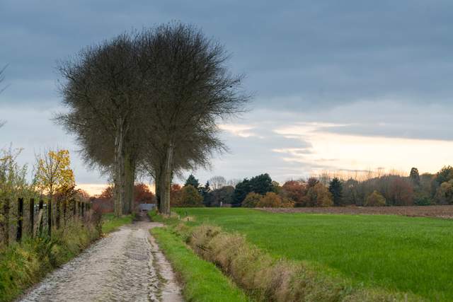 Amelhof