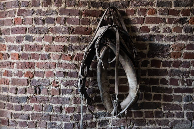 Amelhof